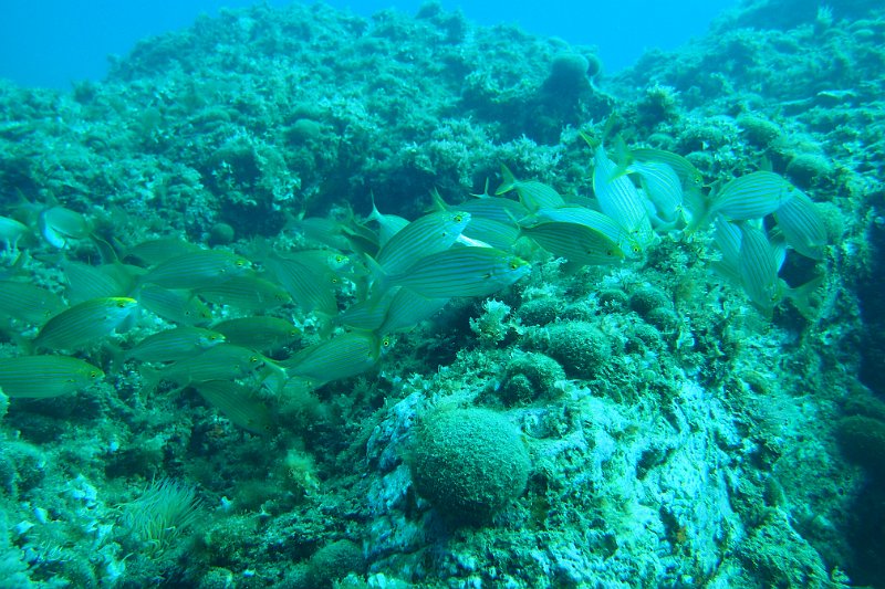 2016-10-01 11-39-25.JPG